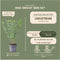 Plants by Frank | 1 strekkende meter ligusterhaag | 6x Ligustrum Ovalifolium Ø12 cm - 20 cm | winterharde haagplanten | Halfwintergroene haag | Tuinplanten | Planten