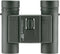 Eschenbach Sektor F 10x25B Compactv