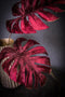 PTMD Leaves Plant Monstera Kunstblad - 29x24x76 cm - Velvet - Bordeaux
