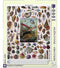 New York Puzzle Company - Vintage Images Mollusks - 1000 stukjes puzzel