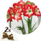 Plant in a Box - Amaryllis - Set van 2 - Hippeastrum - Bloembollen - Rode & witte bloemen