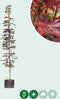 Rode Noorse esdoorn laagstam | Acer pl. 'Crimson Centry' | Bomenbezorgd.nl