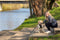 Halti No Pull Harnas Zwart - Hondenopvoeding - Medium