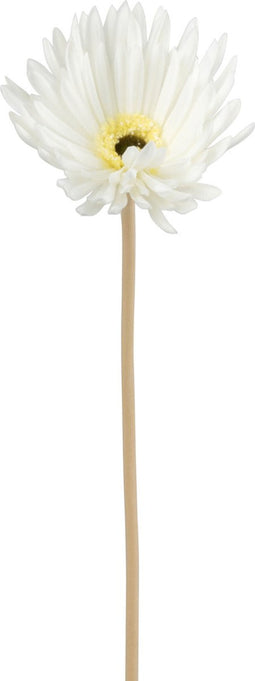 J-Line bloem Gerbera Virgin - kunststof - wit - 12 stuks