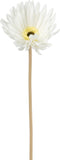 J-Line bloem Gerbera Virgin - kunststof - wit - 12 stuks