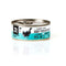 Kattenvoer 3COTY Kip 80 g
