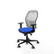 Piqueras y Crespo 1D036G0 - Bureaustoel - Verstelbare hoogte met armleuning - Blauw