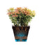 Elho Loft Urban Rond 50 - Bloempot - Waterreservoir - Wieltjes - Oker - 48.5 x H 44.5 cm