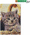 SES Beedz Art - Poes - 7000 strijkkralen - kunstwerk van strijkkralen