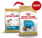 Royal Canin Shih Tzu Junior 1.5 KG