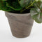 Mica Decorations Geranium Kunstplant in Bloempot Stan - H34 x Ø20 cm - Crème