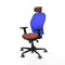 Piqueras y Crespo 2D036G2 - Bureaustoel - Verstelbare hoogte hoofdsteun - Blauw Bruin