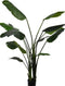 Silk-ka Kunstplant Strelitzia Zijde Groen 183 cm