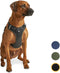Jake and Jacky Hondentuigje - Anti-Trek Tuig - Y Tuig Hond - Reflecterend - Zwart - Maat L