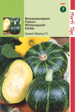 2 stuks Pompoenen Nutty Delica F1 Hybride