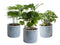 Trio 'Urban Jungle' in Laos keramiek (blauw) ↨ 25cm - 3 stuks - hoge kwaliteit planten