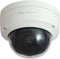 LevelOne FCS-3402 - Bewakingscamera - Full HD 1920x1080 - IP67 - Bewegingsdetectie IR-nachtzicht (30m)