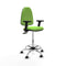 Piqueras y Crespo B2D05RF - Bureaustoel - Hoogteverstelbaar met armleuning - Pistache