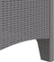 vidaXL - Tuinmeubelen - met - Kussens - 2 - stuks - Lichtgrijs - Poly - Rattan