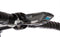 Wahoo Fitness Bolt Aero Race Mount zwart