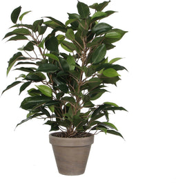 Mica Decorations groene ficus kunstplant - 40 cm - Kunstplanten voor binnen