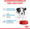 Royal Canin Mini - Puppy - Natvoer Hond - Pouch - 12 x 85 g