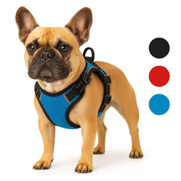 Flamingo Balou - Harnas hond - Anti trek - Maat M A:32-56cm B:50-65cm - Blauw