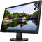 HP V22v G5 (65P56AA) - Monitor - 21,45
