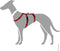 Hunter Veiligheidstuig Vario Rapid Rood - Hondenharnas - M-L 64-100 Cm