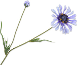 Silk-ka Kunstbloem-Zijden Bloem Margriet Steel Lavendel 55 cm Voordeelaanbod per 2 Stuks