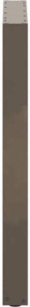 vidaXL - Salontafelpoten - 2 - st - U-vormig - 60x(90-91) - cm - staal - naturel