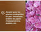 Speciale potgrond voor heideplanten - OR BRUN - OBRTBRU6U - 6L - Betere beworteling