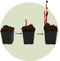 Plant in a Box - Paeonia officinalis 'Rubra Plena' - Set van 3 - Roze Pioenrozen - Pot 9cm - Hoogte 0-40cm