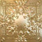 Kanye West & Jay-Z - Watch The Throne - Deluxe Edition 2xLP - Picture Disc