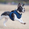 Puppia Soft Vest Harness - Hondentuig - Verstelbare buikriem - Rood - M