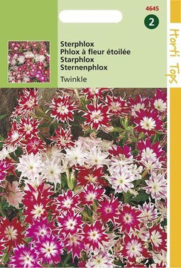 2 stuks Hortitops Phlox Cuspidata Compacta Twinkle Gem.