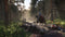 Deep Silver Kingdom Come: Deliverance II - Xbox Series S|X - Day One Edition (2025)