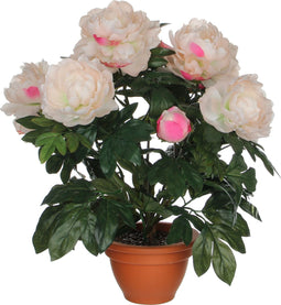 Mica Decorations Pioenroos Kunstplant in Bloempot Campana - H50 x Ø45 cm - Zalmroze