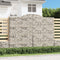 vidaXL - Schanskorven - 2 - st - gewelfd - 300x50x220/240 - cm - ijzer