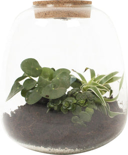 Plant Puzzel ® Discover the World Ecosysteem met verlichting - Broekhof Adding Value - Groene plant- Hoogte 25 cm