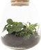 Plant Puzzel ® Discover the World Ecosysteem met verlichting - Broekhof Adding Value - Groene plant- Hoogte 25 cm