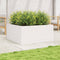 vidaXL - Plantenbak - 100x100x46 - cm - massief - grenenhout - wit