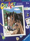 Ravensburger CreArt Foaling Around - Schilderen op nummer voor kinderen