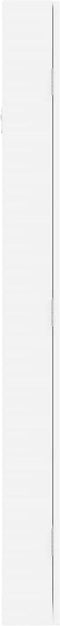 vidaXL - Sieradenkast - met - spiegel - wandgemonteerd - 37,5x10x106 - cm - wit