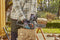 Gardena PowerSaw 250/18V - Accu kettingzaag - Borstelloze motor 8 m/s - Oregon® ketting (1 stuk)