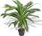vidaXL - Kunst - dracena - plant - met - pot - 90 - cm - groen
