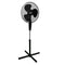ID2501 IDEAAL - (2023)