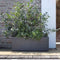 Muret Plantenbak - DEROMA - Millennium R - Antraciet - Met waterreservoir - Wielen - 99 cm