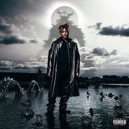 Juice WRLD - Fighting Demons - 2 LP