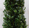 Buxus Piramide 90 cm